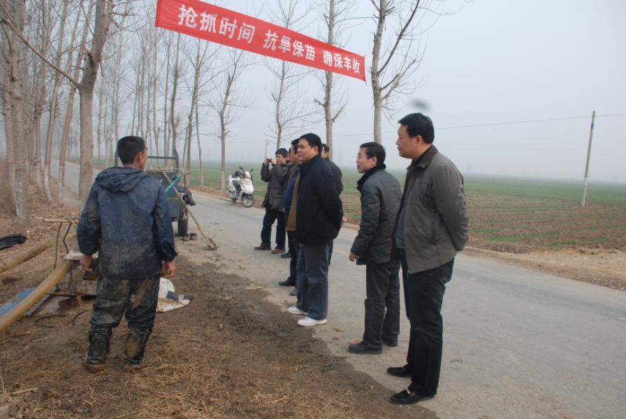 省水利厅农水处黄明处长一行了解灌区群众抗旱浇麦情况